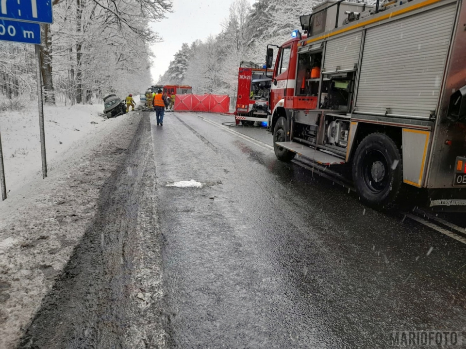 Śmiertelny wypadek na DK 46 w rejonie Dąbrowy [fot. Mario]