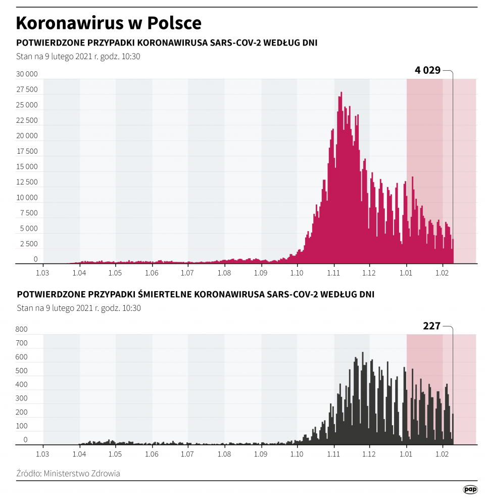 Infografika "Koronawirus w Polsce stan na 09.02.2021" [autor: Maciej Zieliński, źródło: PAP]
