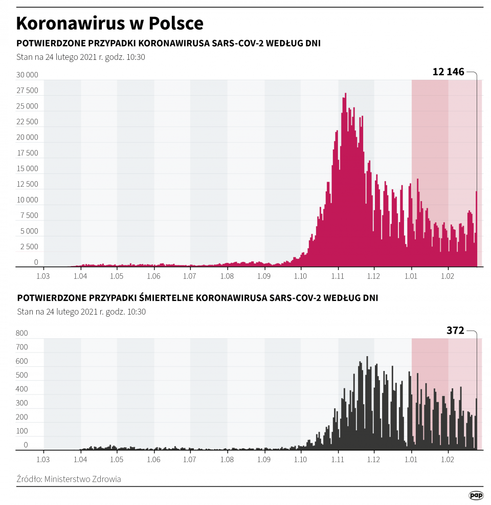 Infografika "Koronawirus w Polsce - stan na 24 lutego" [autor: Maria Samczuk, źródło: PAP]