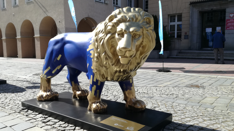 Niebiesko złote makiety lwów stanęły przed opolskim ratuszem [fot.P.Wójtowicz]