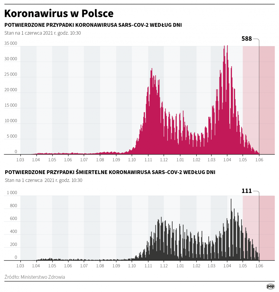 Koronawirus w Polsce - stan na 1 czerwca [Autor: Maria Samczuk, źródło: PAP]