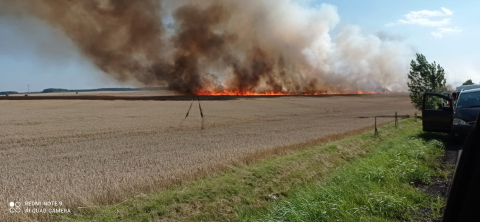 Pożar pola w Gierowie [fot. Sławek Sekieta]