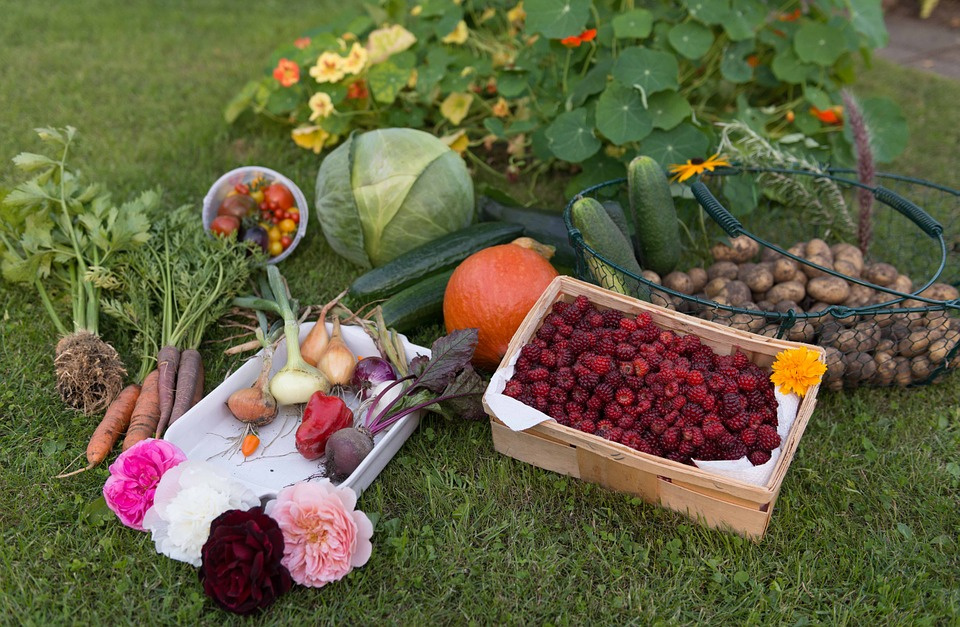 warzywa, zdjęcie poglądowe [fot. https://pixabay.com/pl]