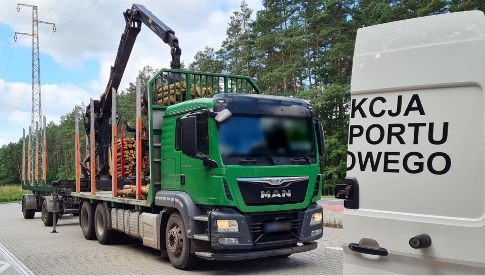 Kontrole transportu drewna foto:gitd.gov.pl