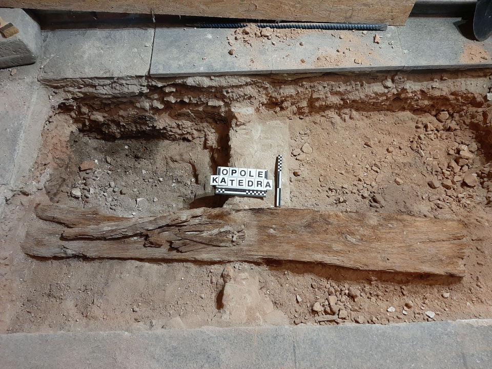 Odkrycie archeologiczne w Katedrze Opolskiej [fot. archiwum prywatne]
