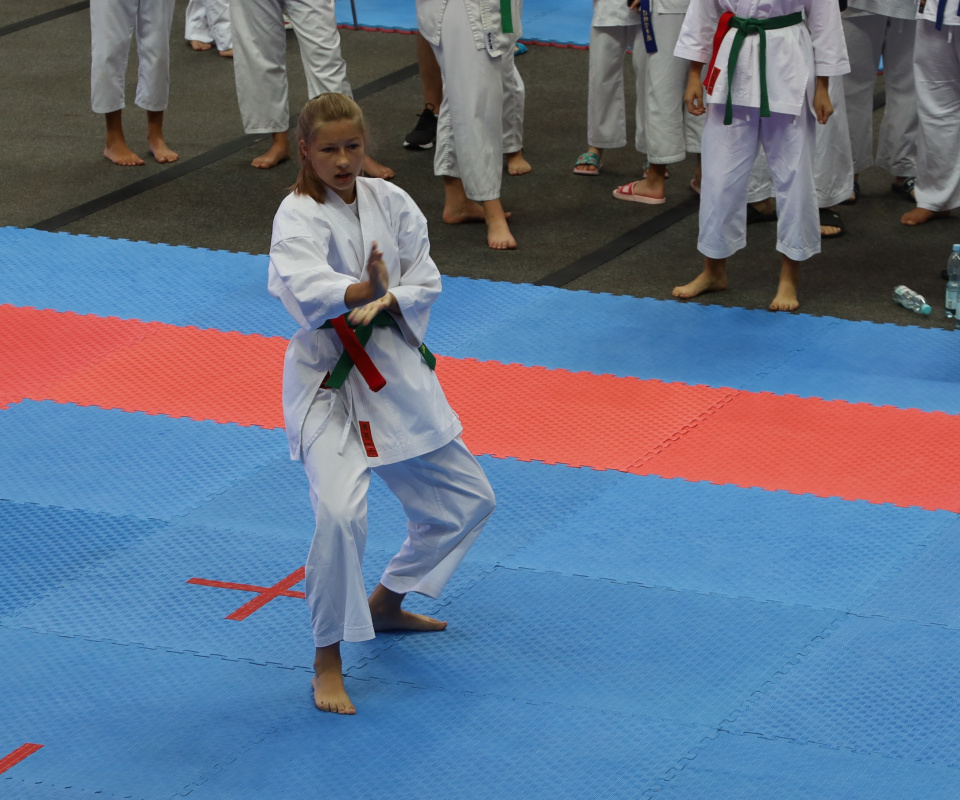 Mistrzostwa Polski Karate Tradycyjnego w Zielonej Górze [foto: Mariusz Studzienny]