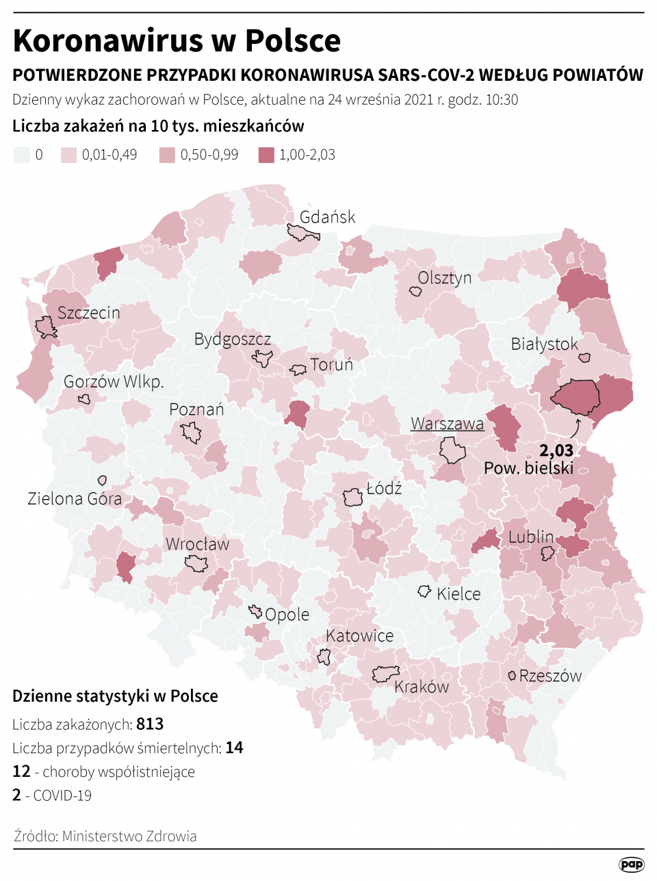Koronawirus w Polsce [Autor: Maciej Zieliński, źródło: PAP]