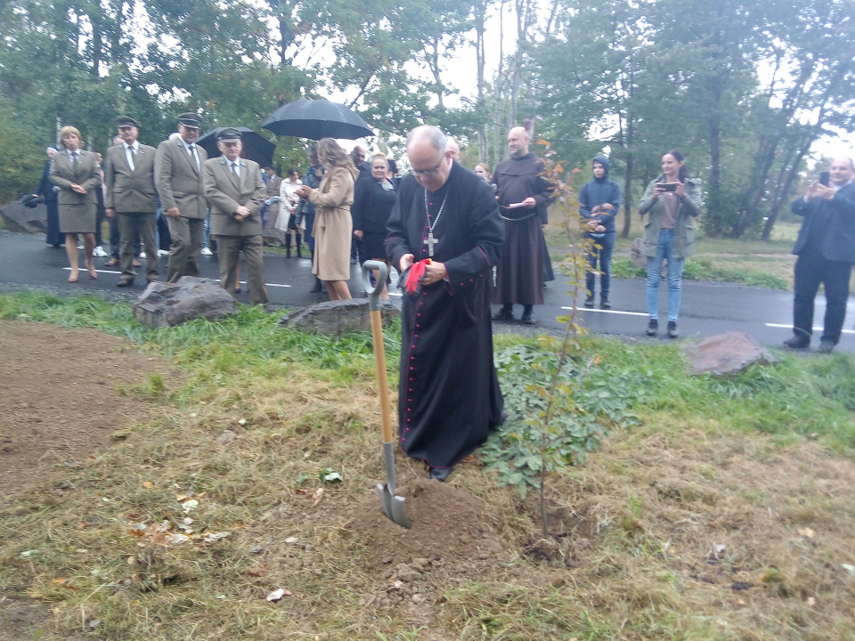 Sadzenie „buków kardynalskich” w Prudniku-Lesie. Biskup Andrzej Czaja