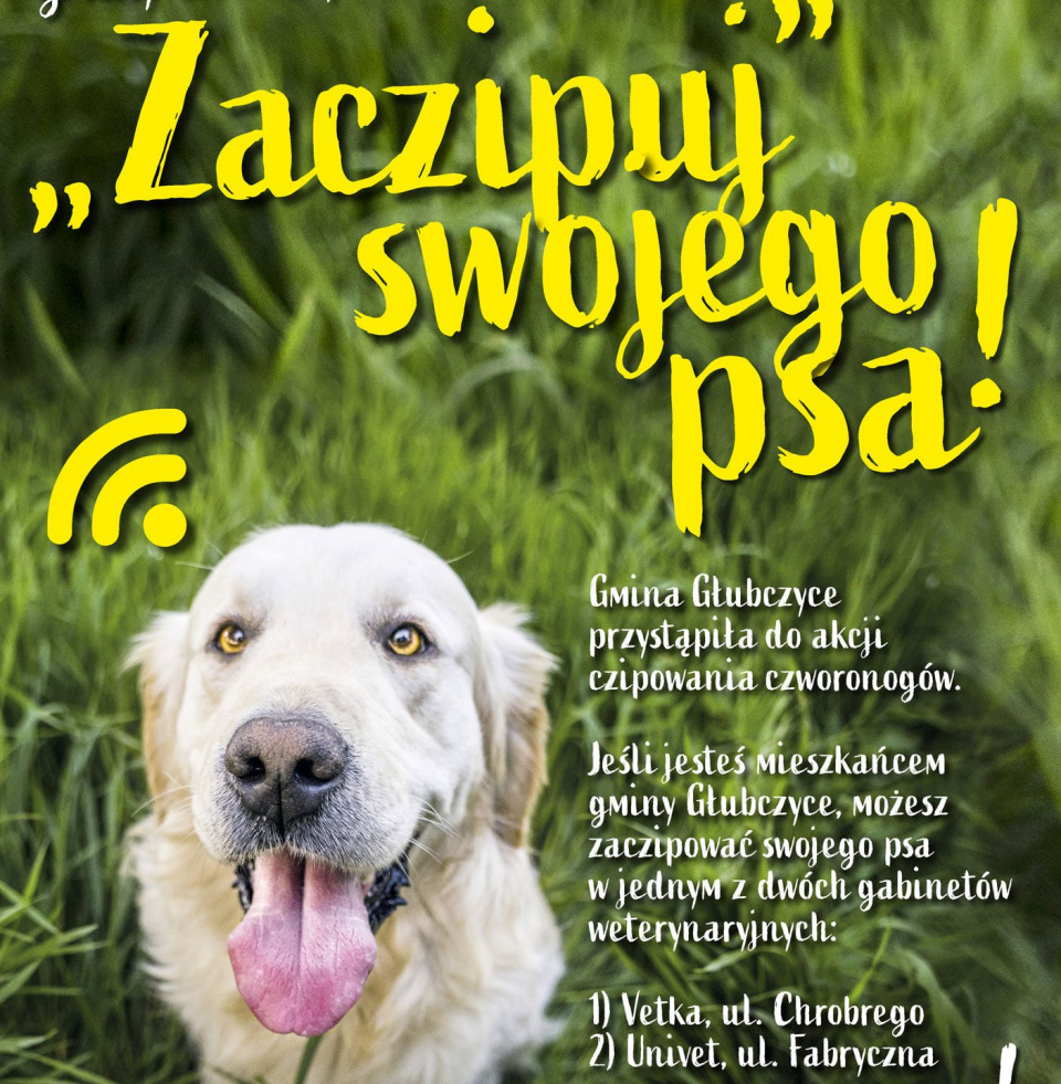 Pilotażowy program czipowania psów w Głubczycach - [fot: gmina Głubczyce]