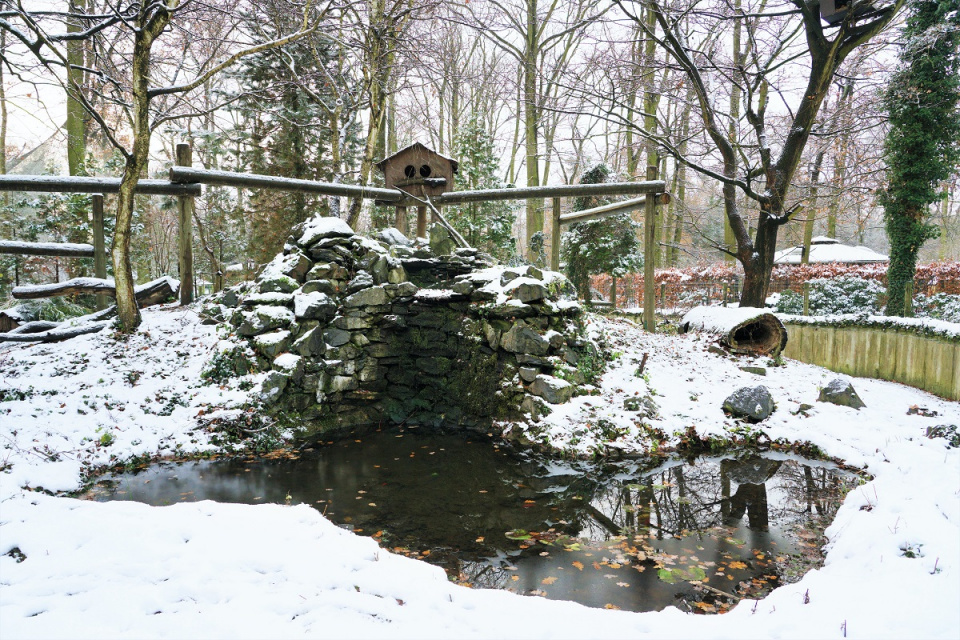 Zima w zoo [fot. Zoo Opole]