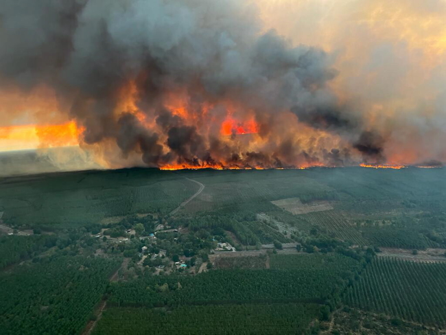 Pożar lasu w Saint Magne, w regionie Gironde w południowo-zachodniej Francji [fot. PAP/EPA/HANDOUT/SDIS 33 HANDOUT]