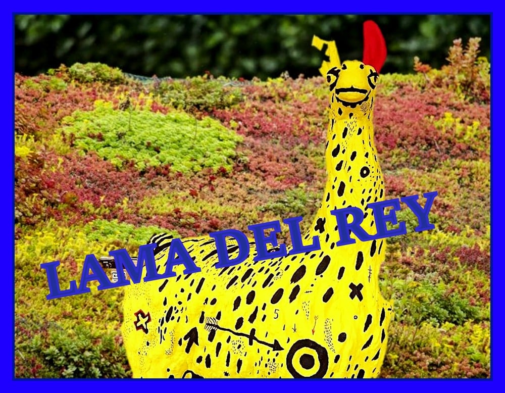 10. Opolska Lama - Lama Del Rey