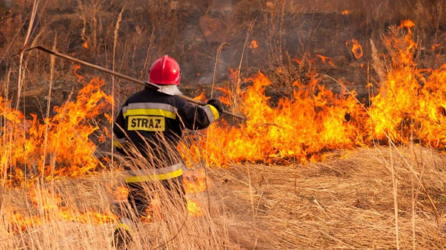 Ruszyła akcja Stop pożarom traw. Wypalanie nieużytków jest groźne i zakazane