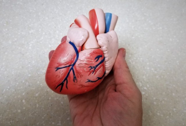 Trwa Tydzień dla Serca. Opolscy kardiolodzy przypominają o profilaktyce chorób sercowo-naczyniowych
