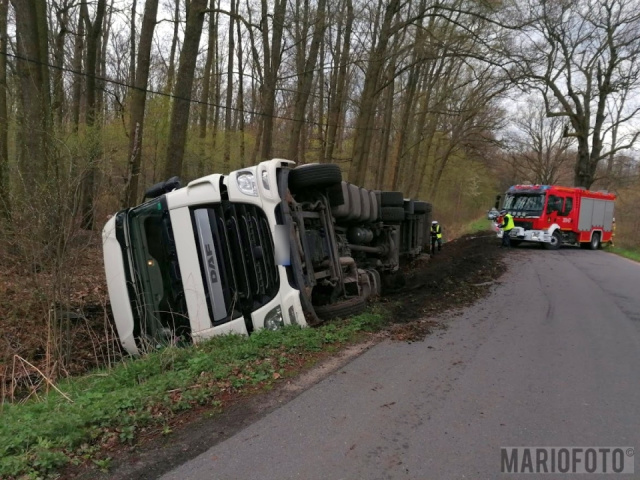 Ciężarówka wioząca trzodę chlewną przewróciła się na drodze w Ciepielowicach