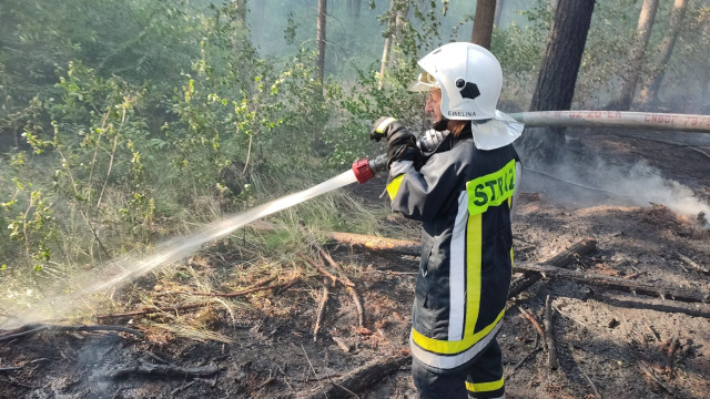 14 zastępów straży pożarnej walczy z ogniem pod Niemodlinem. Pali się las i nieużytki rolne