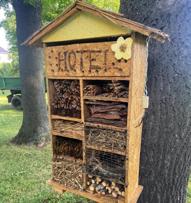 W Głubczycach pszczoły i inne owady mają swój hotel