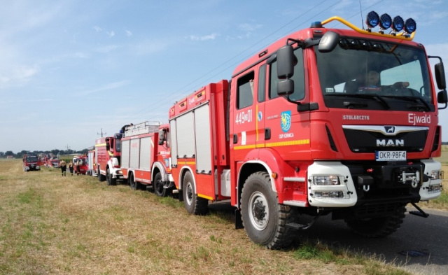 Charytatywny konwój strażacki w Kórnicy pojedzie dla 2-letniej Wiktorii
