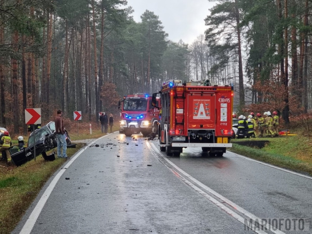 3 auta zderzyły się w Trzebiszynie, 2 na DK46. Trudne warunki na trasach regionu