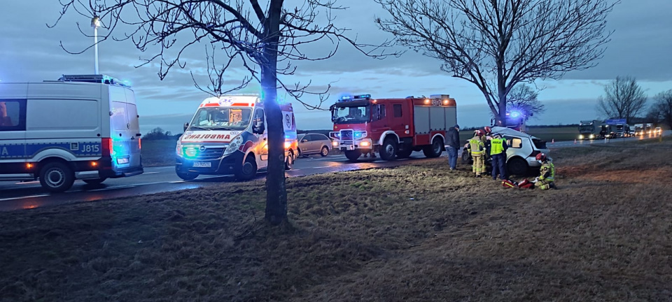 Wypadek na DK 88 w okolicy Sieroniowic [fot. PSP Strzelce Opolskie]