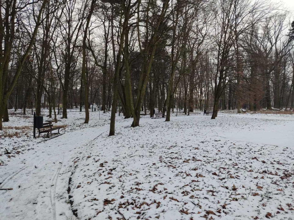 Park w Skorogoszczy [fot. UM w Lewinie Brzeskim]