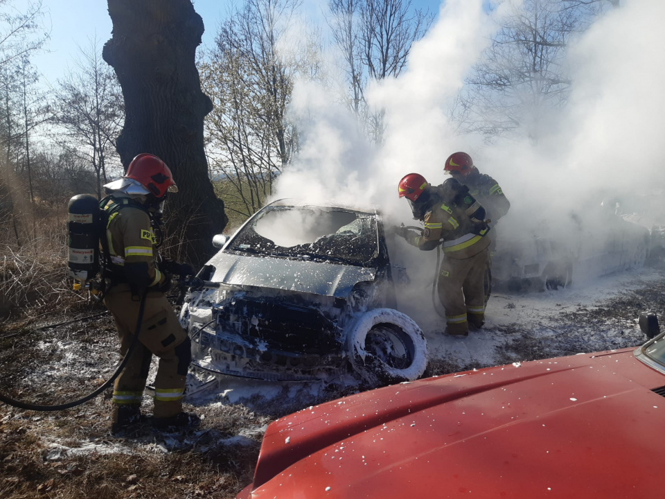 Spalony samochód [fot. KPP w Nysie]
