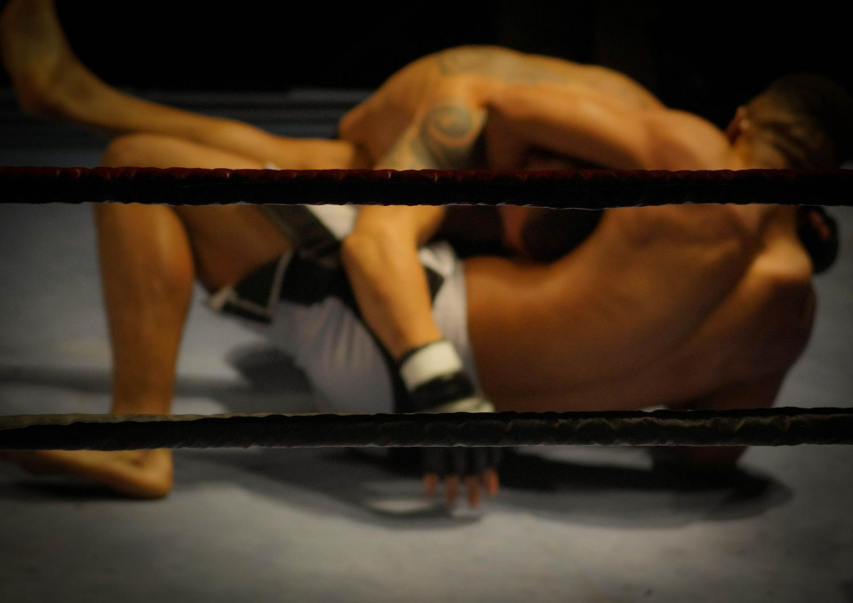 MMA [fot. https://pixabay.com/]