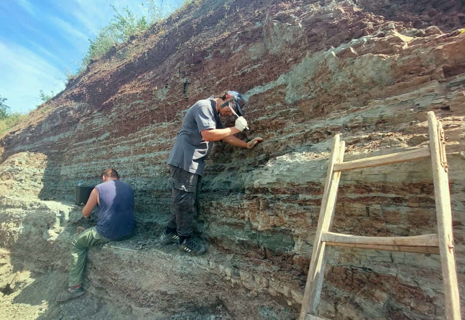 Wykopaliska w Krasiejowie prowadzone są od 20 lat [fot. Mariusz Chałupnik]