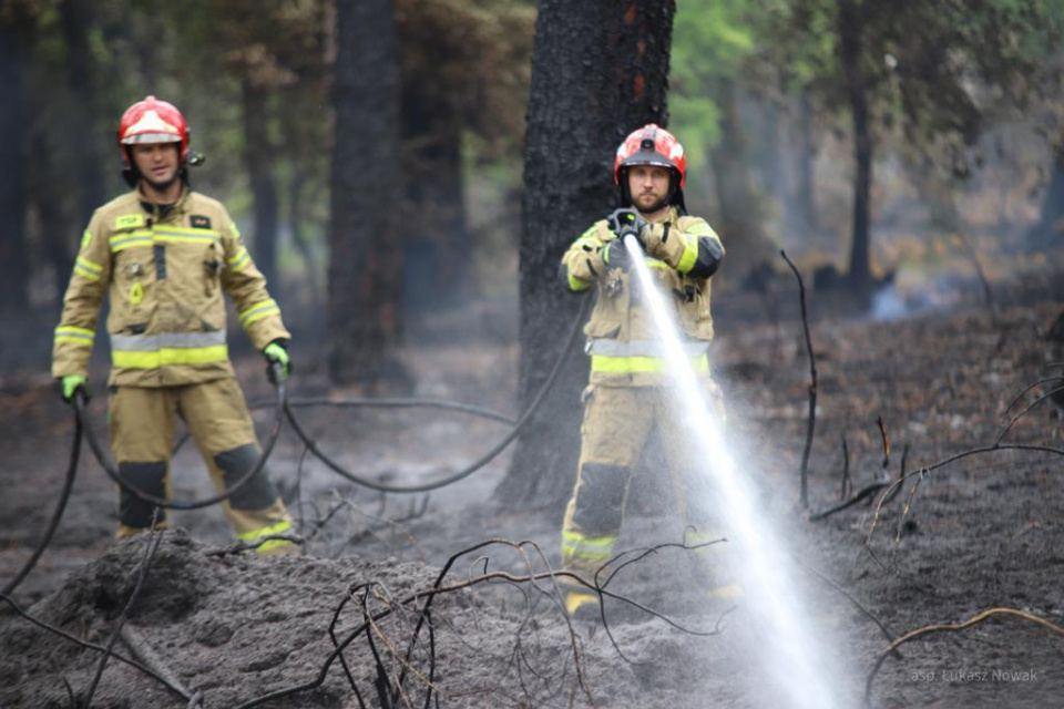 Pożary na południu Francji [fot. asp. Łukasz Nowak, KW PSP w Opolu]