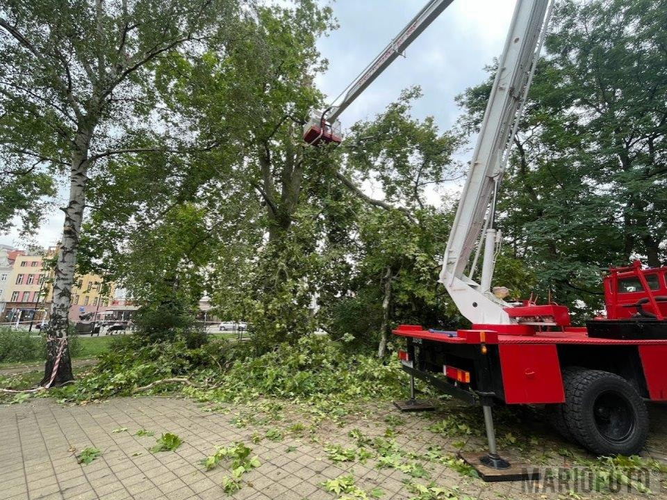 Opole: sprzątanie po gwałtownej burzy [fot. Mario]