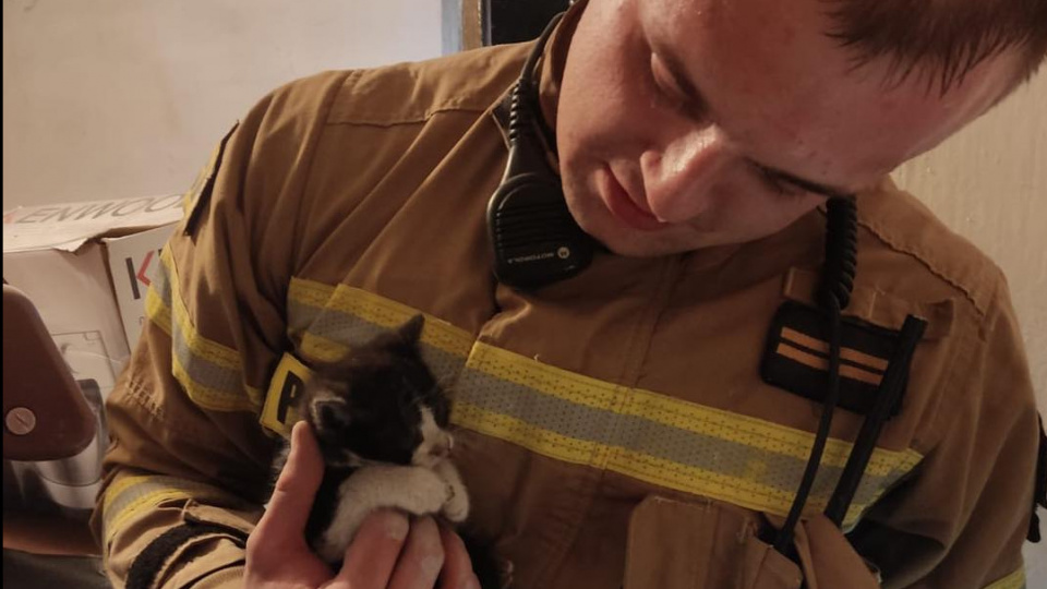 Strażacy z PSP w Kędzierzynie-Koźlu uratowali kotka [fot. FB/PSP Kędzierzyn-Koźle]