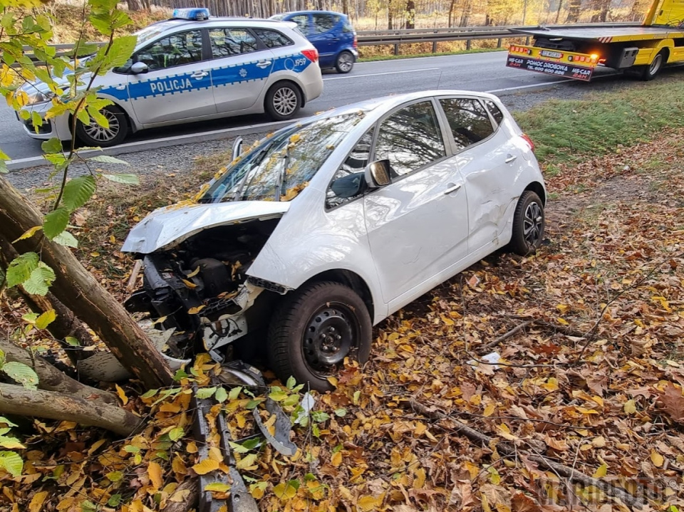 Wypadek na DK 45 w miejscowości Jełowa [fot. Mario]