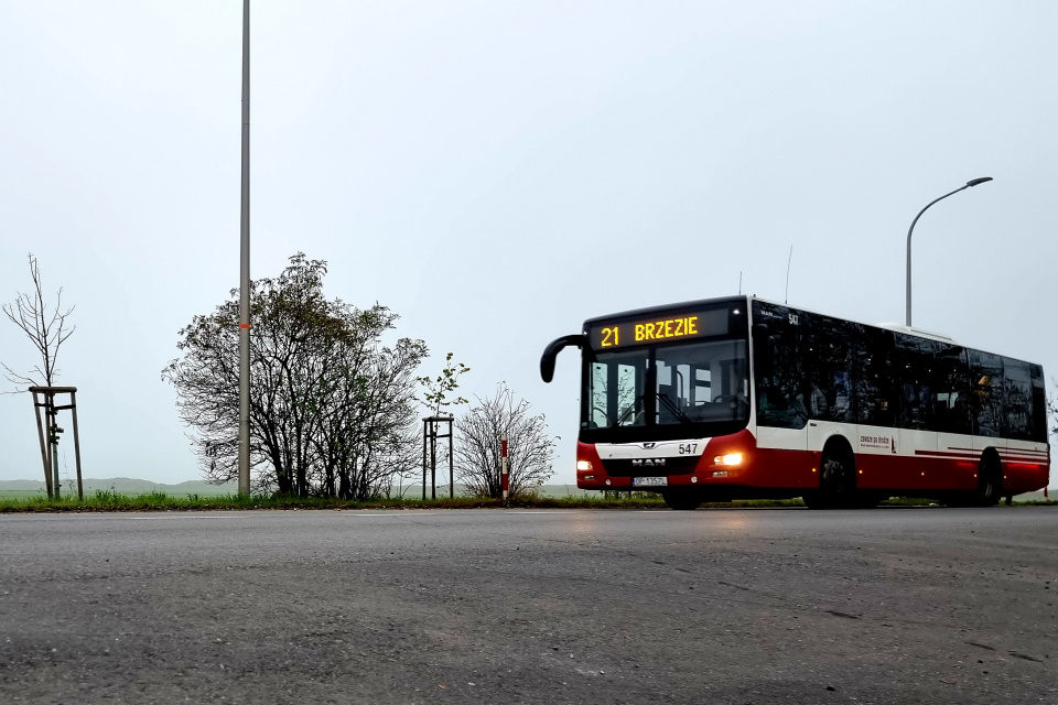 Miejskie autobusy fot. MZK Opole