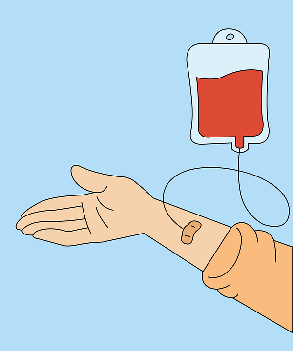 Oddawanie krwi, zdjęcie poglądowe. [fot. pixabay]
