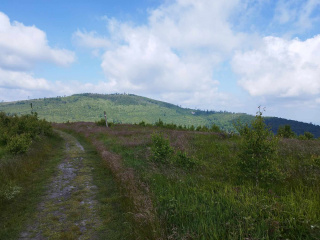 Pokrzywna, Jarnołtówek, Kopa Biskupia