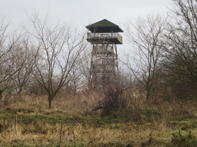Drewniane wieże widokowe w gminie Prudnik nie wytrzymują próby czasu
