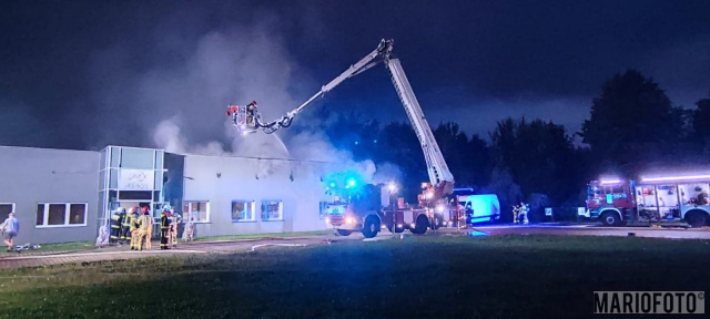 Pożar hali magazynowej w Opolu. Z ogniem walczyło 16 zastępów straży pożarnej [ZDJĘCIA]