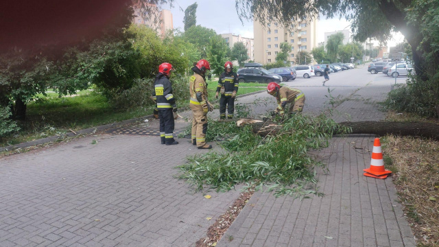 Ponad 1200 strażaków usuwało skutki frontu burzowego nad Opolszczyzną