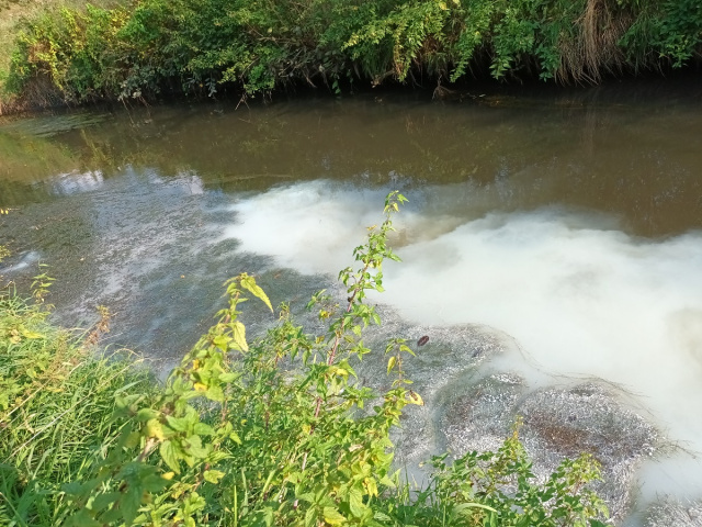 Zanieczyszczona rzeka Kłodnica w Gliwicach. Znaleziono kilkadziesiąt zbiorników z nieznaną substancją