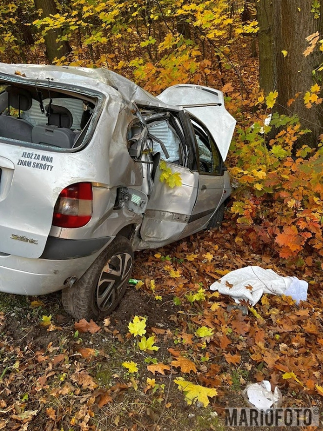 Pijany kierowca rozbił samochód niedaleko Łambinowic