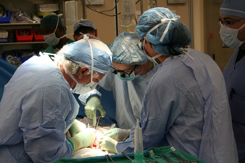 operacja, przeszczep, zdjęcie poglądowe. [fot. pixabay]