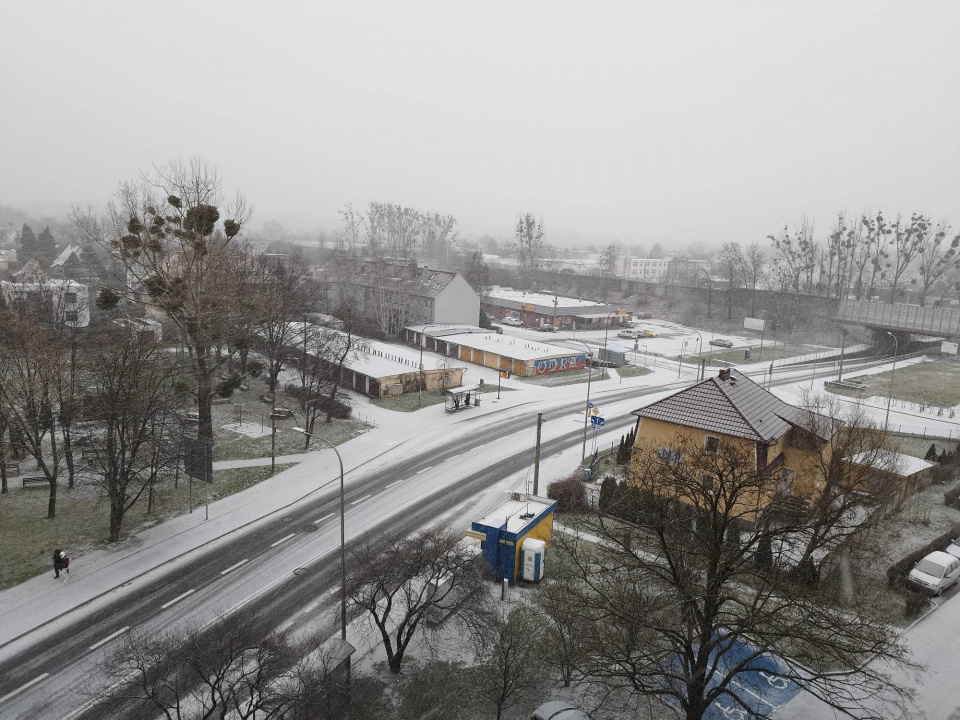 Śnieg w Opolu [fot. Bogusław Kalisz]