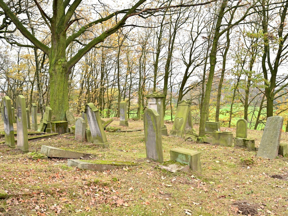 Cmentarz żydowski w Oleśnie [fot. www.facebook.com/Urząd Miejski w Oleśnie]