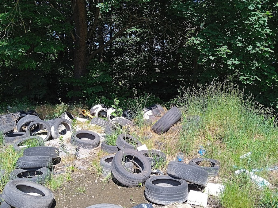 Śmieci w lesie pod Opolem [fot. Adam Wołek]