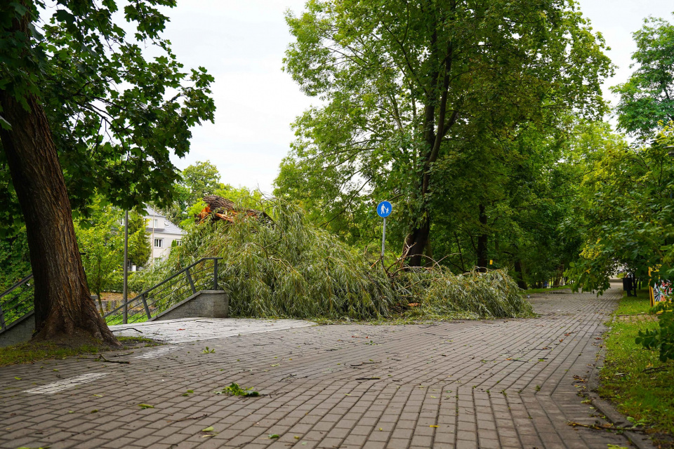 Burza naruszyła drzewostan nad Młynówką [fot. Radio Opole]