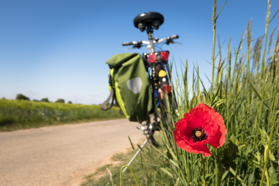 Do Turawy na rowerze lub pieszo? Ścieżka już jest. Uroczyste otwarcie w poniedziałek! [fot. https://pixabay.com/pl]