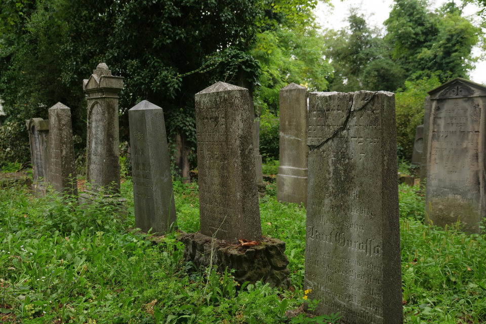 Zwiedzanie opolskiego cmentarza żydowskiego [fot. Jędrzej Łuczak]