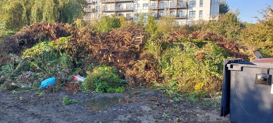 Odpady zielone na ROD Szaniec w Opolu [fot. Agnieszka Stefaniak]