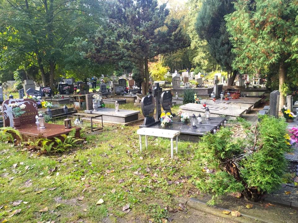 Cmentarz komunalny w Opolu - Półwsi [fot. Witold Wośtak]