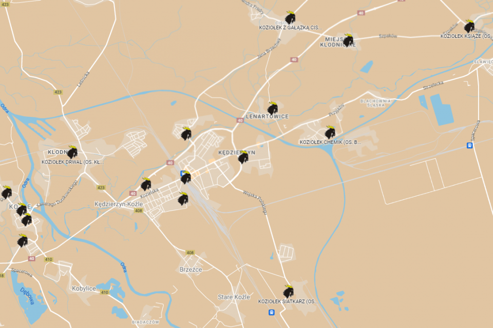 Mapa przedstawiająca lokalizacje koziołków [fot. UM KK]